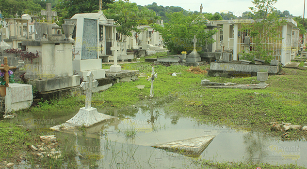 Panteón se convierte en granja de dengue Panteón Convierte Granja Dengue