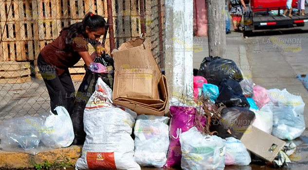 Pepenar, un modo de sobrevivencia Pepenar, un modo de sobrevivencia