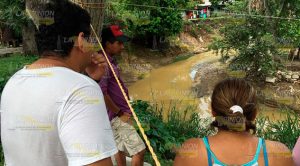 Aparece cocodrilo en arroyo de la Revolución Aparece Cocodrilo Arroyo Revolución