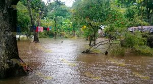 Afectadas más de 200 familias de Zona Rural de Tampico Alto por las lluvias Afectadas Familias Zona Rural