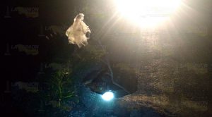 Se registra socavón sobre la carretera 180 Matamoros-Puerto Juarez