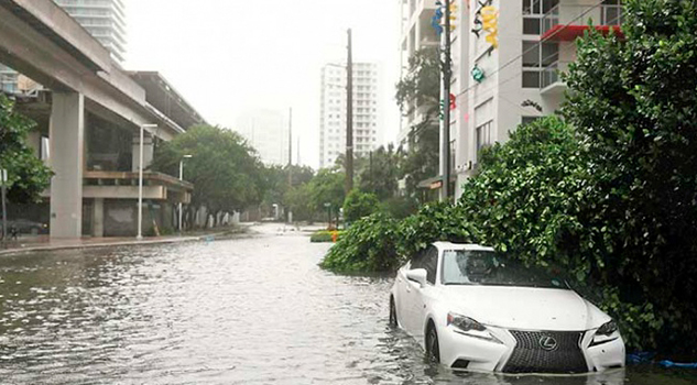 Donald Trump decreta estado de catástrofe natural Trump Estado Catástrofe Natural