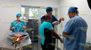 Realizan campaña esterilización Campaña Esterilización UV Jurisdicción Saniataria II