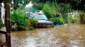 Afectadas más de 200 familias de Zona Rural de Tampico Alto por las lluvias Afectadas Familias Zona Rural