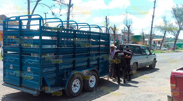 Buscan inhibir el robo de ganado