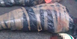 Tiran 3 cuerpos decapitados en Parque de Xalapa