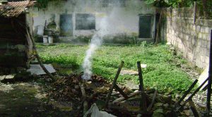 ¡Amenaza por dengue!