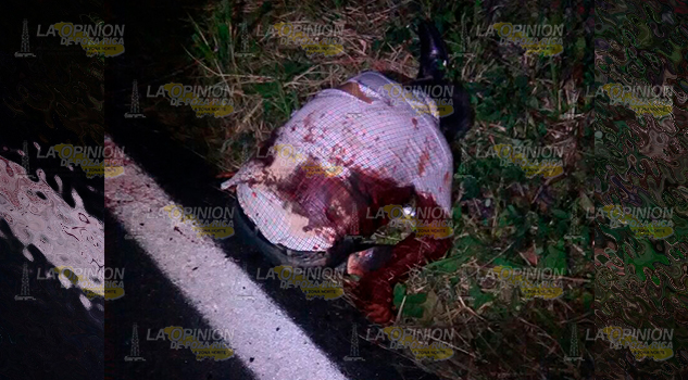 Aparece ejecutado a orillas de la Federal Mexico-Tuxpan