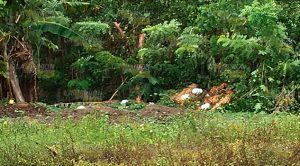 Panteón en área verde