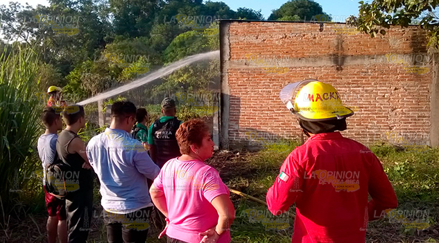 Arde pastizal