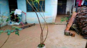 Municipios de Puebla sufren estragos por fuertes lluvias