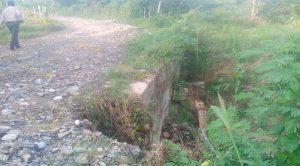 Severos daños en caminos