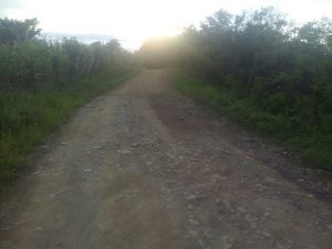 Severos daños en caminos