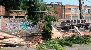Galería: Edificios colapsan tras sismo en la Ciudad de México