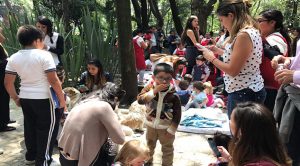 SOS Ciudad de México