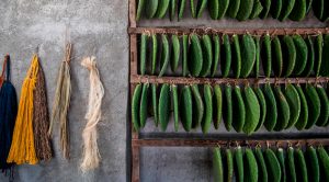 Artesanos mexicanos apuestan por el uso de tintes naturales