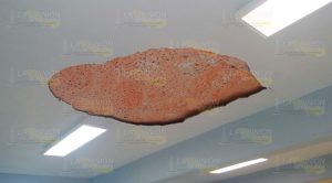 ¡Cae plafón sobre alumnos!