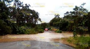 Álamo en estado de emergencia Álamo Estado Emergencia