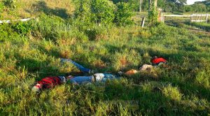 Cinco ejecutados en Tuxpan, entre ellos jóvenes de Poza de Cuero Cinco Ejecutados Tuxpan Jóvenes Poza Cuero