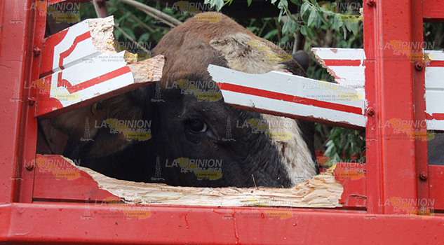 De la fiesta a la muerte