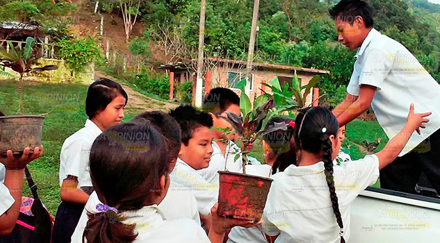 Donan más plantas a escuelas Donan Más Plantas Escuelas