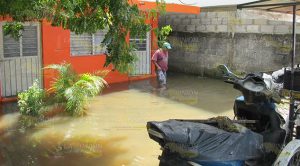Álamo, zona de emergencia Álamo Zona Emergencia