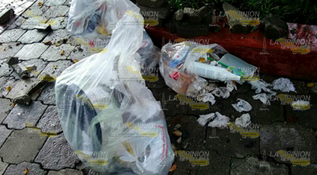 Exhortan a no tirar basura en el parque Exhortan No tirar Basura Parque