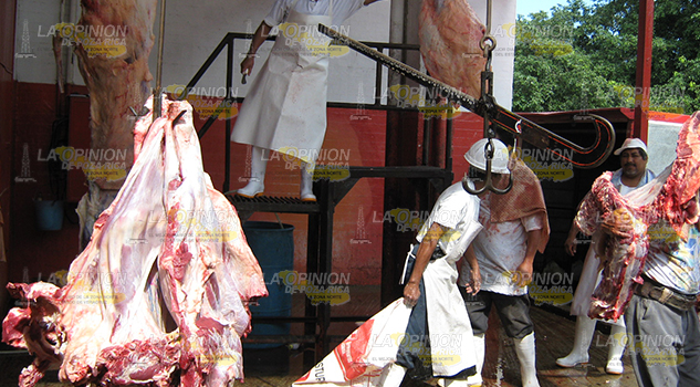 Exportarán sus productos a Asia Exportarán Productos Asia