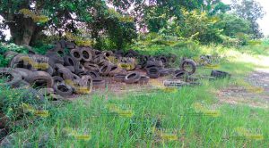 ¡Gobierno llena el parque ecológico de llantas viejas y basura! Gobierno Llena Parque Ecológico Llantas Viejas Basura