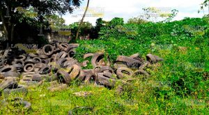 ¡Gobierno llena el parque ecológico de llantas viejas y basura! Gobierno Llena Parque Ecológico Llantas Viejas Basura