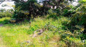 ¡Gobierno llena el parque ecológico de llantas viejas y basura! Gobierno Llena Parque Ecológico Llantas Viejas Basura