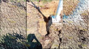 Hallazgo mantiene autoridades con la mirada atónita