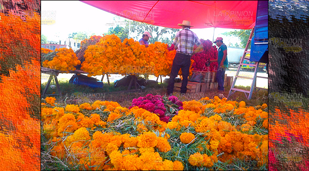 Comerciantes listos para Día de Muertos La vendimia de productos1