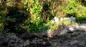 Pemex deja a medias saneamiento de fuga Pemex Deja Medias Saneamiento Fuga