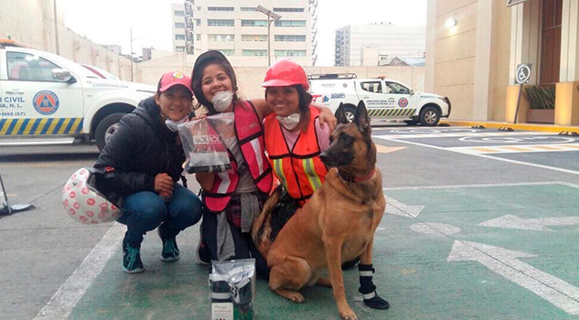 Robaron a una perrita rescatista que ayudó tras el terremoto de México Robaron a una perrita rescatista que ayudó tras el terremoto de México