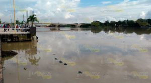 VIDEO: Incrementa el cause del río Tuxpan Incrementa Cause Río Tuxpan