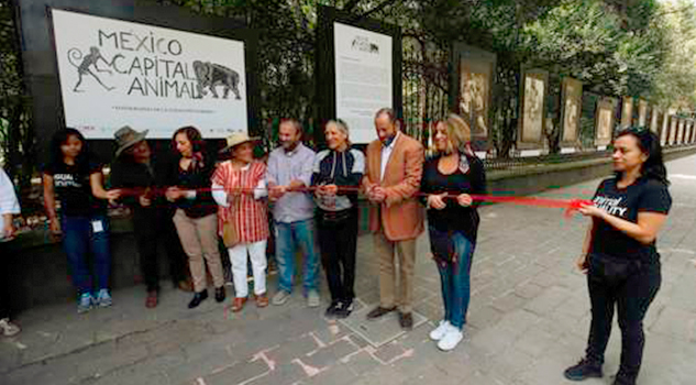 Inauguran muestra fotográfica de la Colección Toledo en Chapultepec