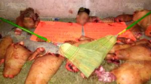 Descuartizados en el fraccionamiento Las Gaviotas Descuartizados Fraccionamiento Las Gaviotas