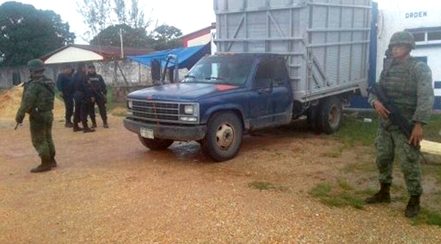 Ejército asegura 731 kg de marihuana en el sur de Veracruz