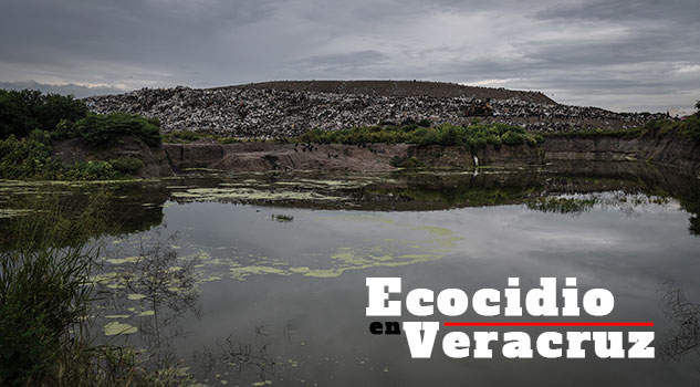 Ecocidio en Veracruz