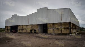 Ecocidio en Veracruz