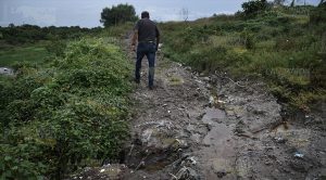 Ecocidio en Veracruz
