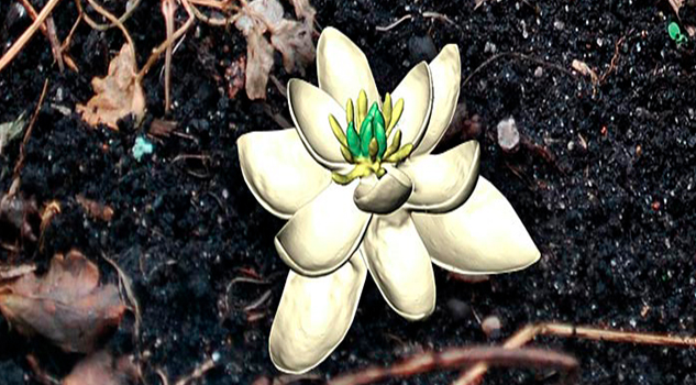 Así fue la primera flor que existió
