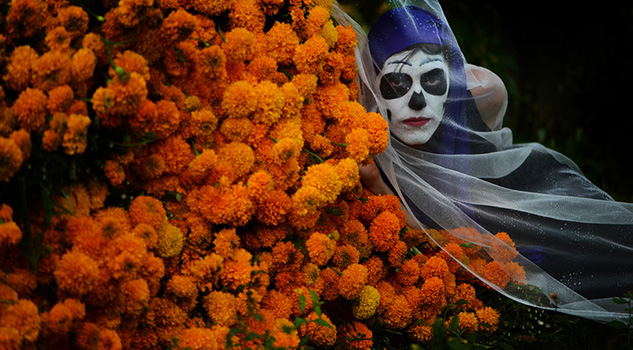 Un icono de Día De Muertos: Flor de Cempasúchil