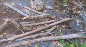 Exigen que PEMEX repare daños debido a fugas