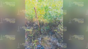 Exigen que PEMEX repare daños debido a fugas