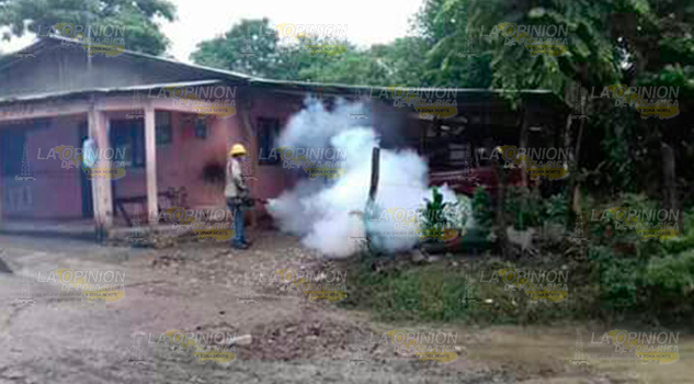 Fumigan colonias afectadas por inundaciones