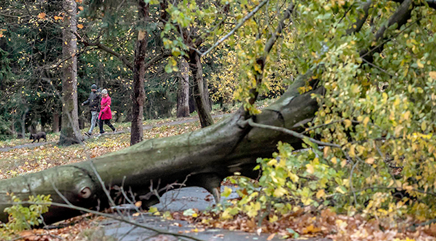 La tormenta Herwart deja al menos 7 muertos en Europa central