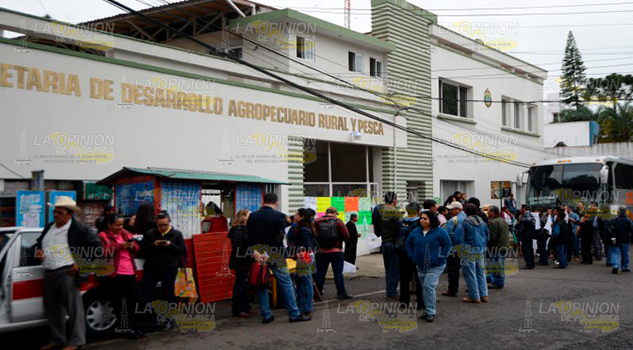 Irregularidades en 29 dependencias