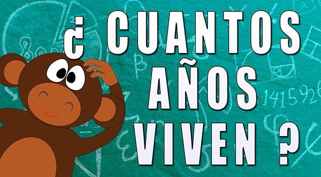 ¿Cuánto viven los animales?